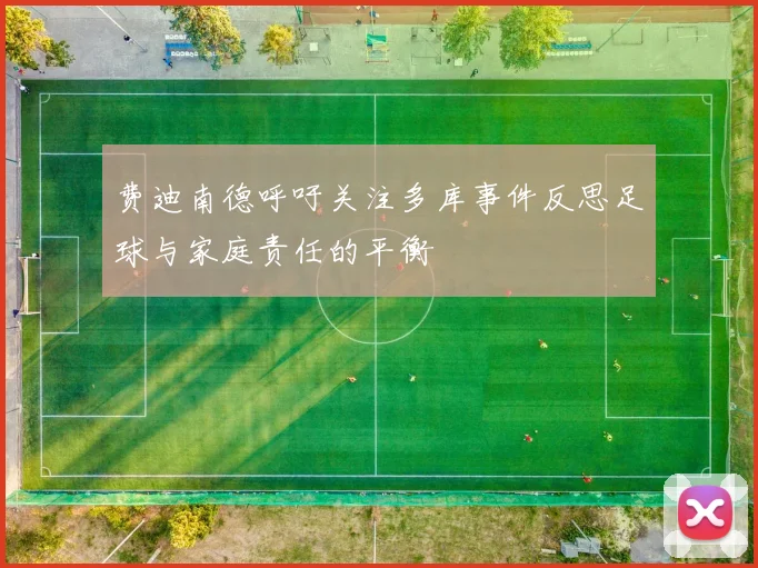 费迪南德呼吁关注多库事件反思足球与家庭责任的平衡